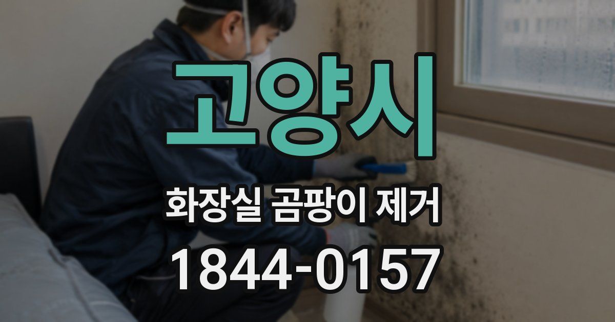 고양시 화장실 곰팡이 제거