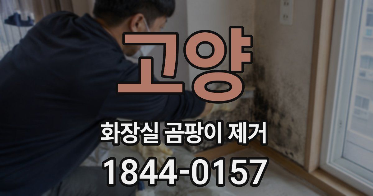 고양 화장실 곰팡이 제거