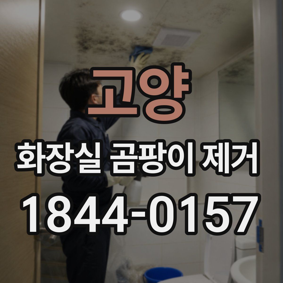 고양 화장실 곰팡이 제거