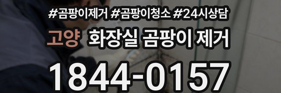 고양 화장실 곰팡이 제거