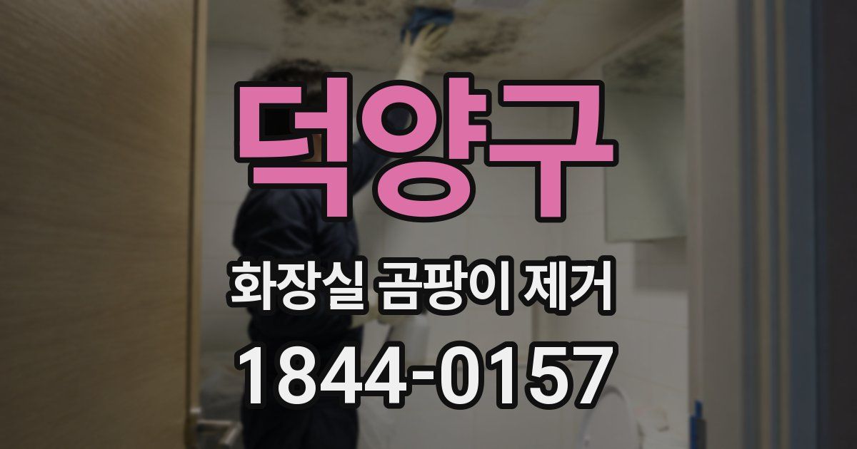덕양구 화장실 곰팡이 제거