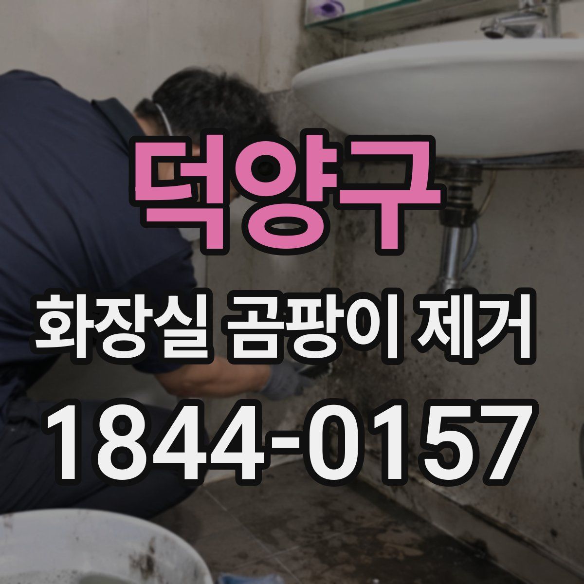 덕양구 화장실 곰팡이 제거