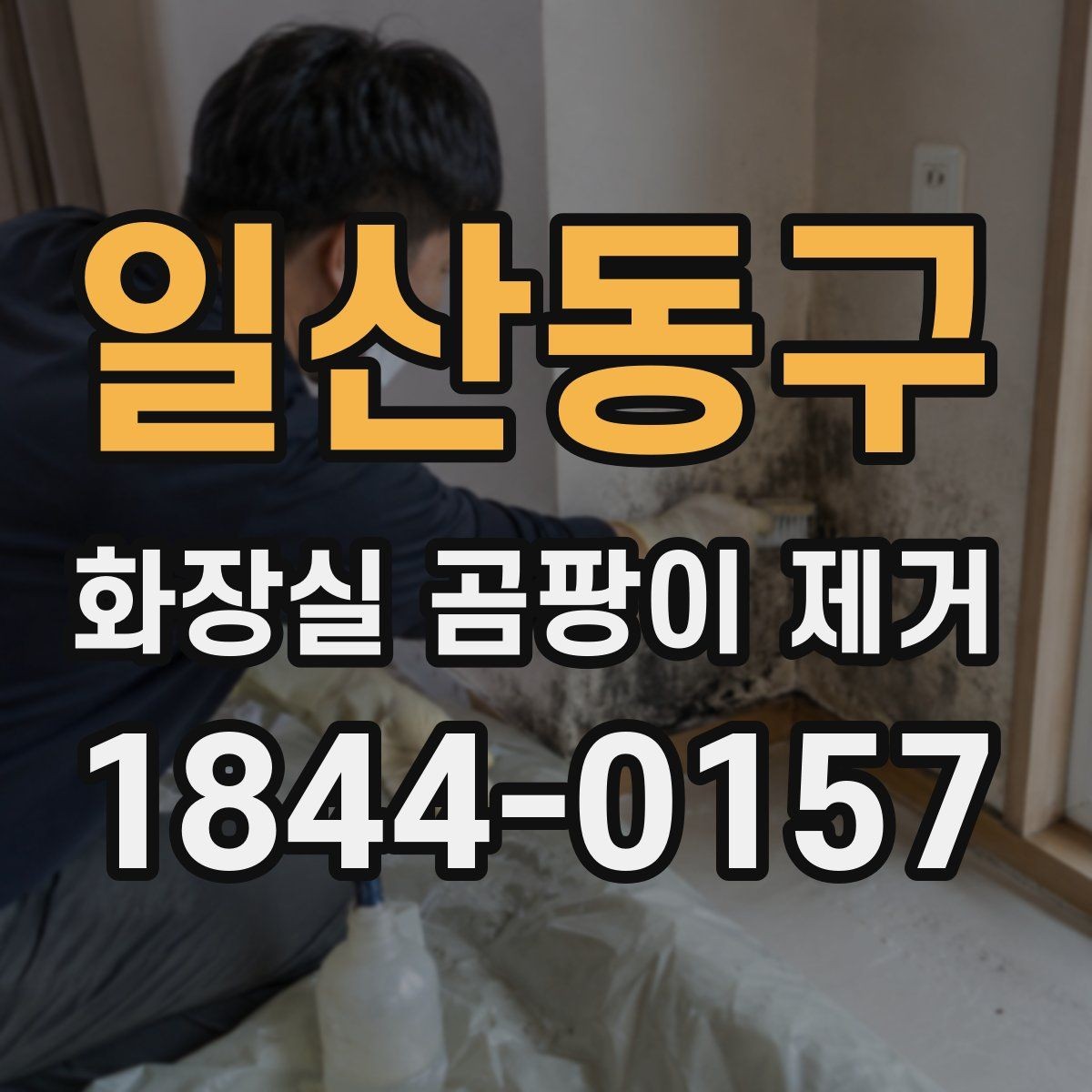 일산동구 화장실 곰팡이 제거 타일 틈새와 실리콘을 따로 청소하는 법