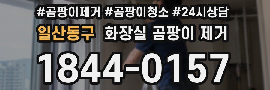 일산동구 화장실 곰팡이 제거