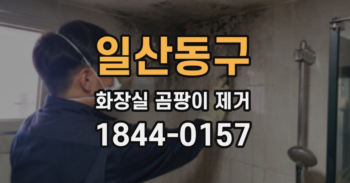 일산동구 화장실 곰팡이 제거