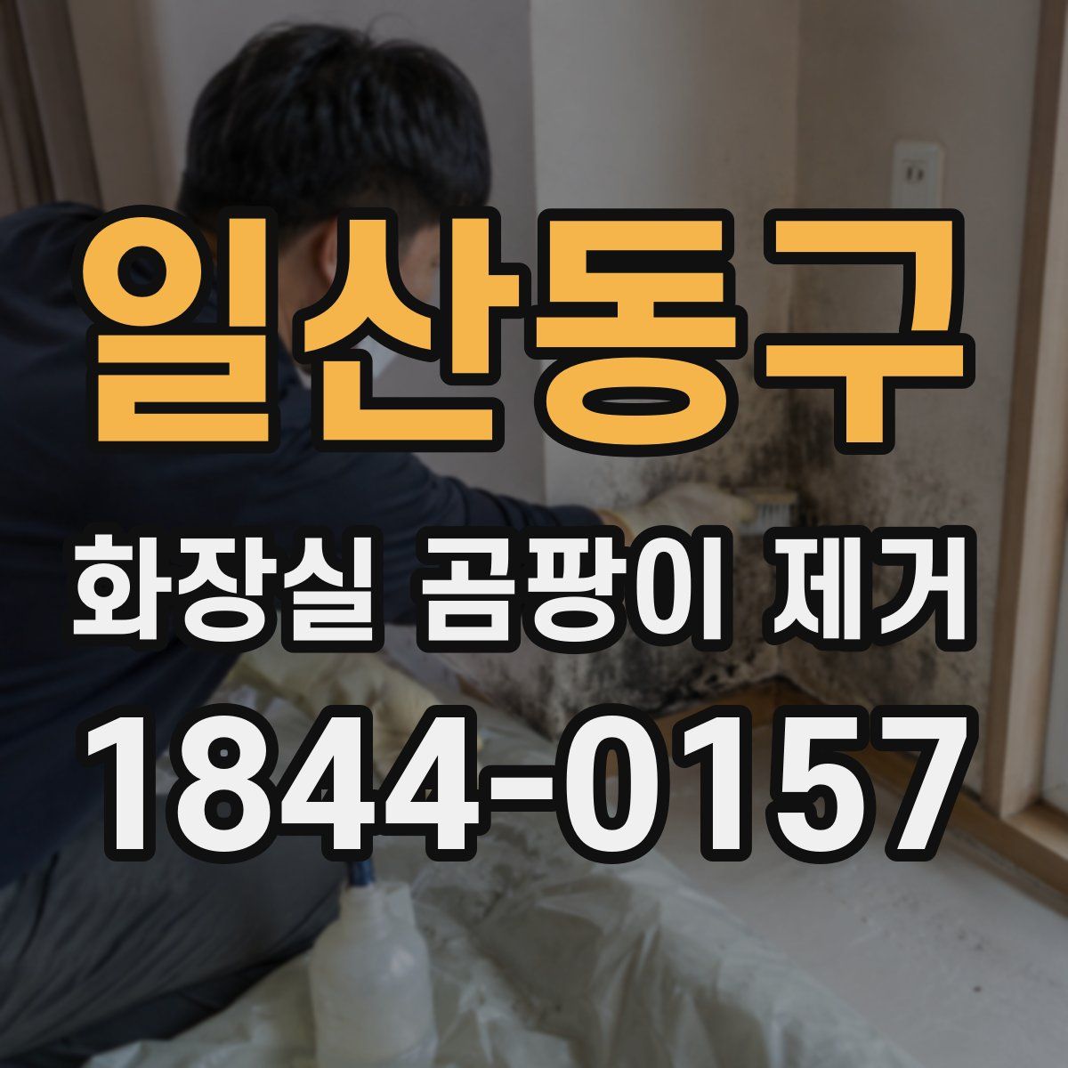 일산동구 화장실 곰팡이 제거