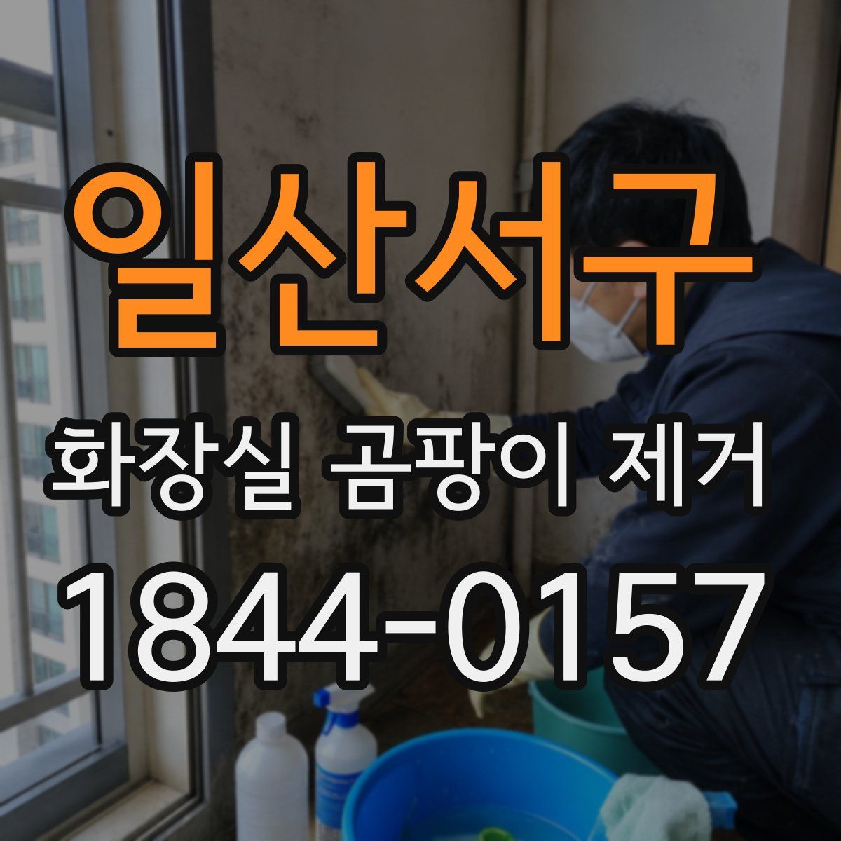 일산서구 화장실 곰팡이 제거