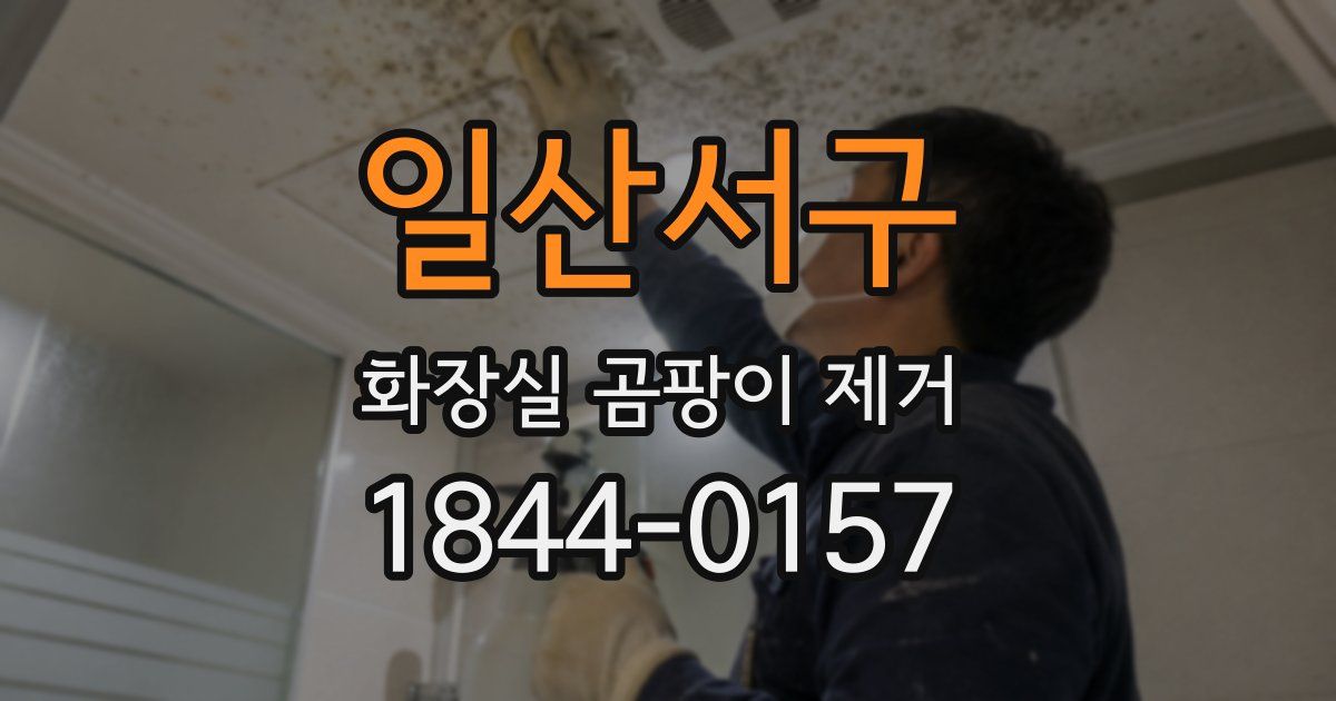 일산서구 화장실 곰팡이 제거
