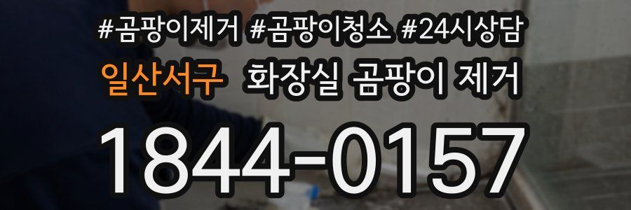 일산서구 화장실 곰팡이 제거