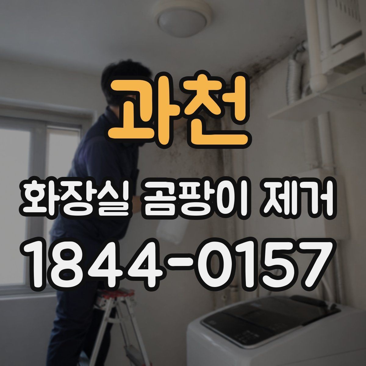 과천 화장실 곰팡이 제거 욕실 벽면과 바닥을 나눠 살피는 이유