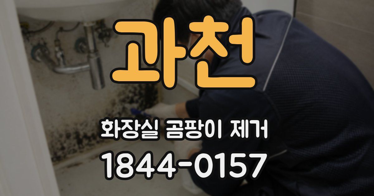 과천 화장실 곰팡이 제거