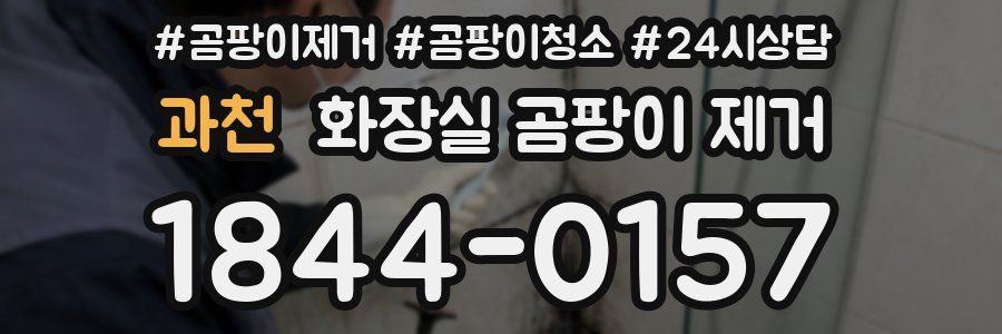 과천 화장실 곰팡이 제거