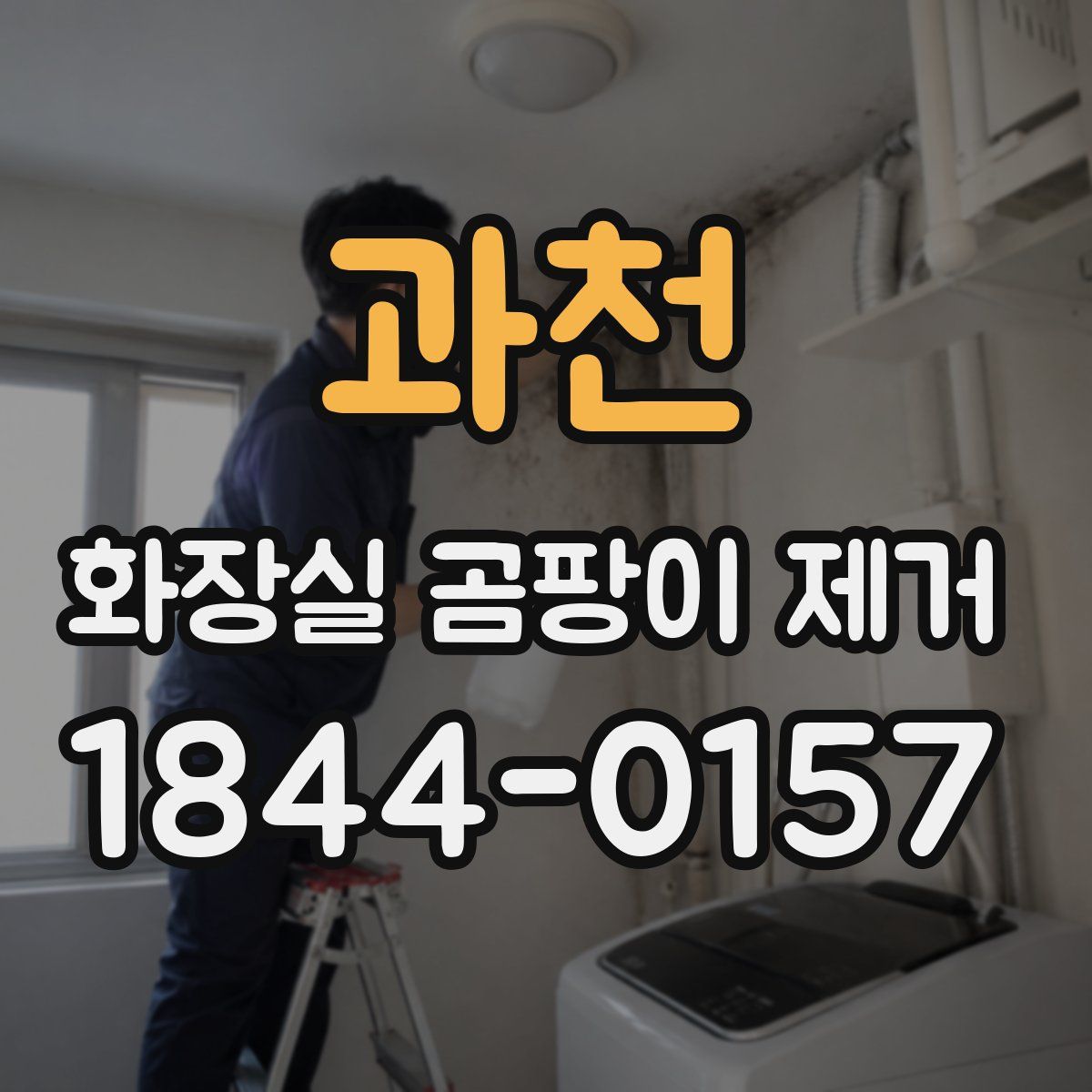 과천 화장실 곰팡이 제거