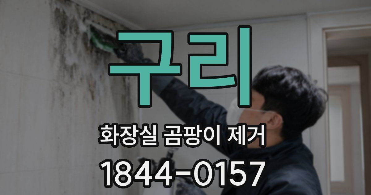 구리 화장실 곰팡이 제거