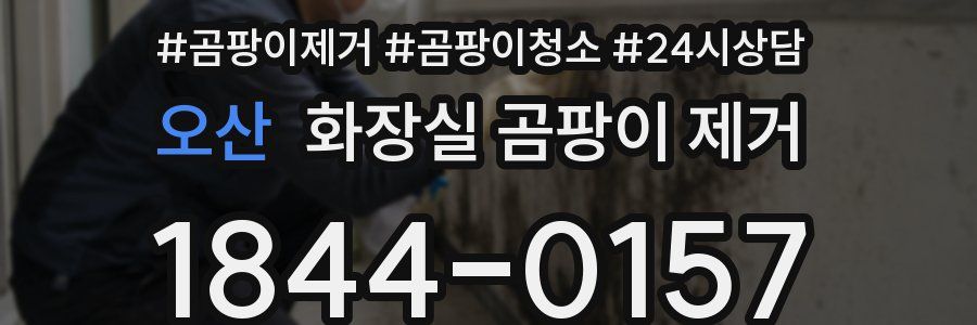 오산 화장실 곰팡이 제거