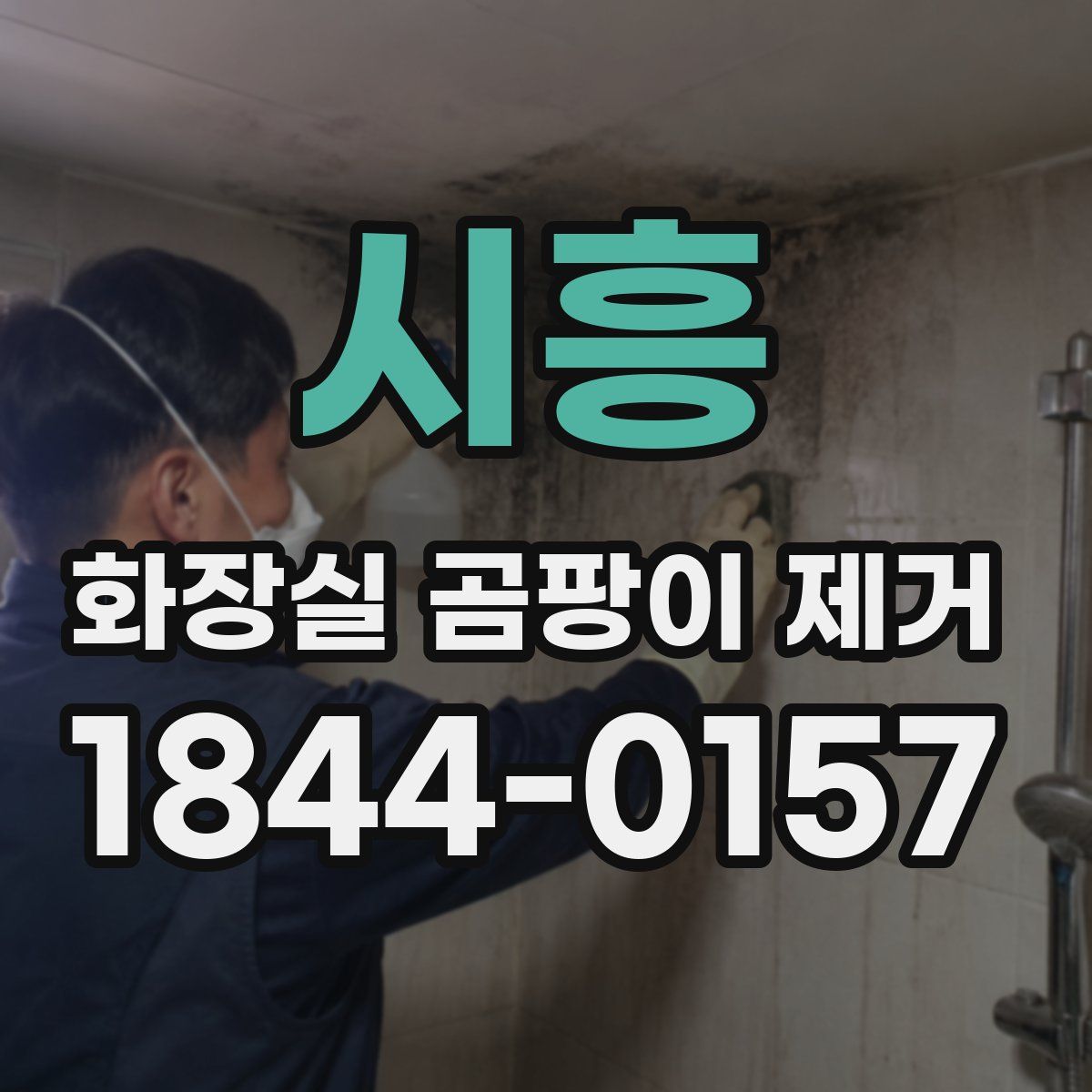 시흥 화장실 곰팡이 제거