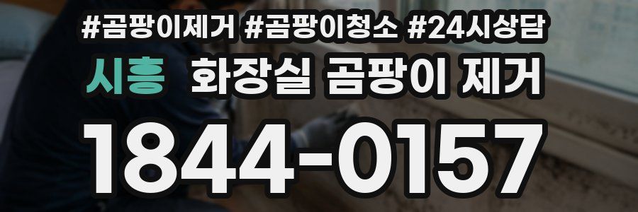 시흥 화장실 곰팡이 제거
