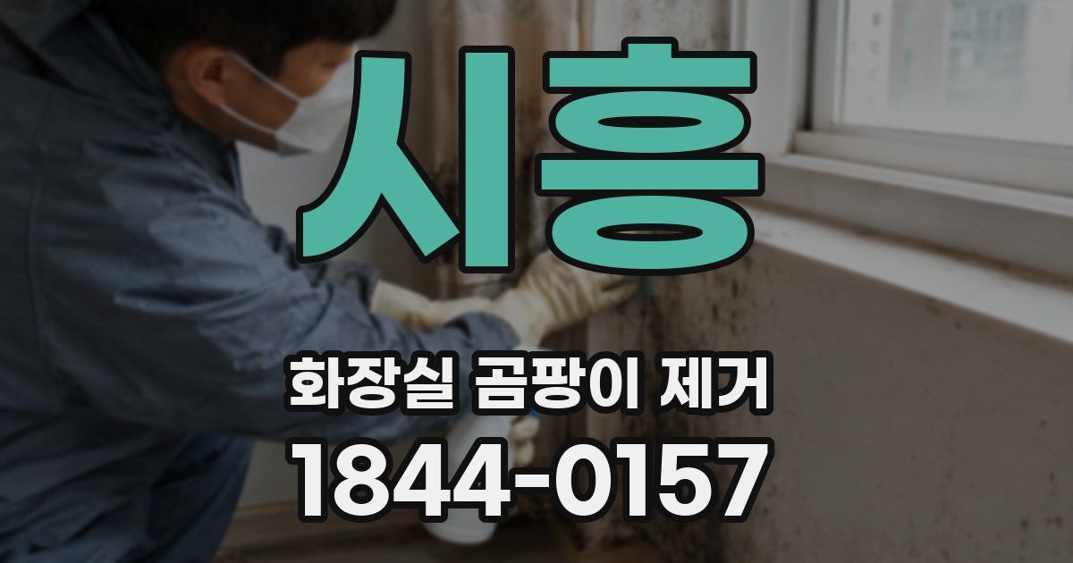 시흥 화장실 곰팡이 제거