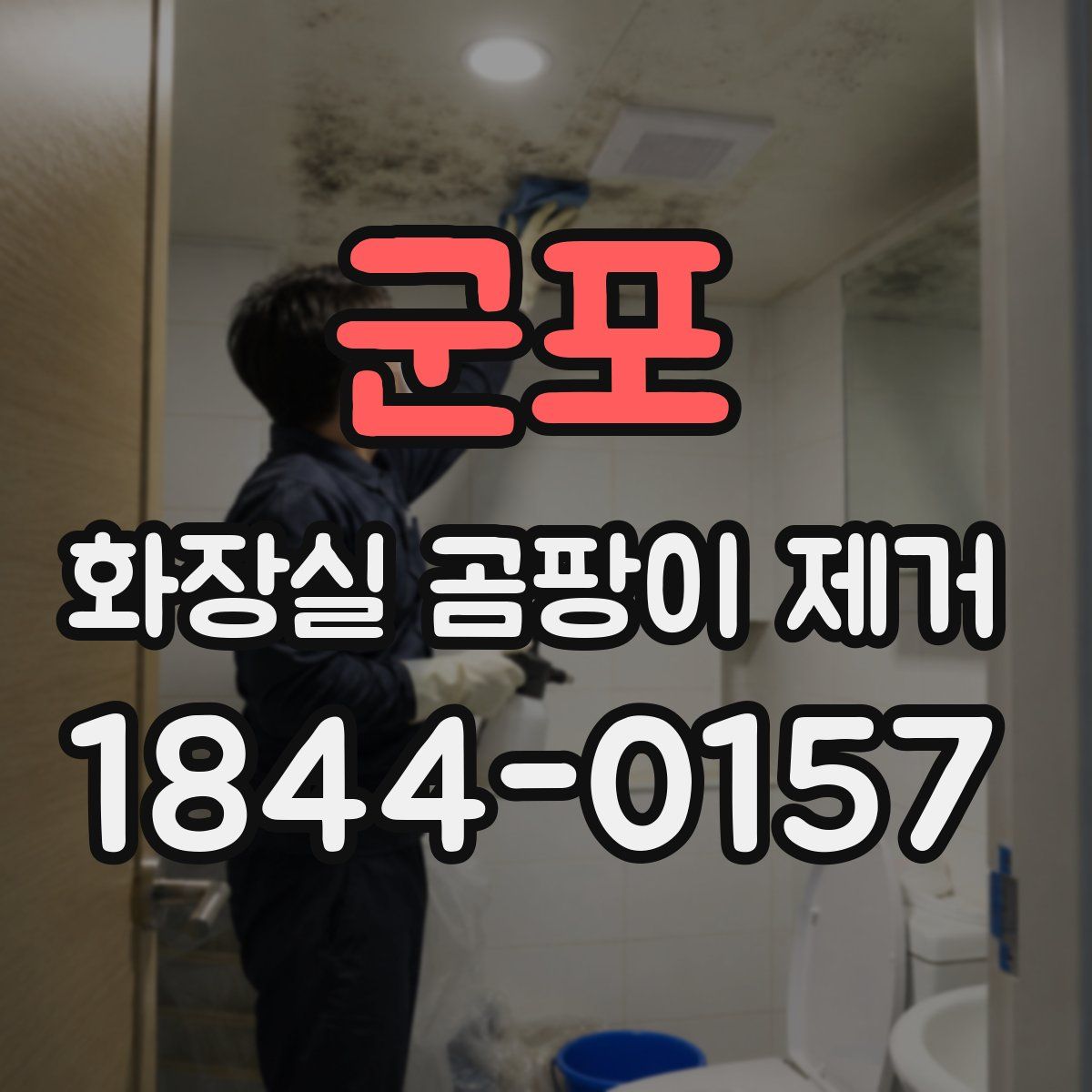 군포 화장실 곰팡이 제거