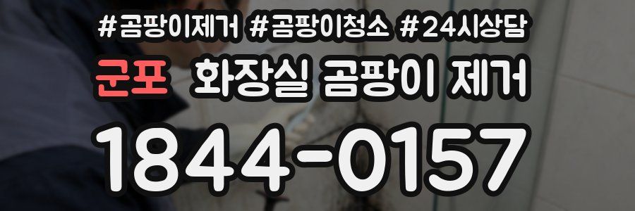 군포 화장실 곰팡이 제거