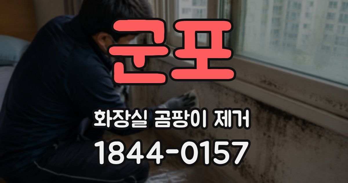 군포 화장실 곰팡이 제거