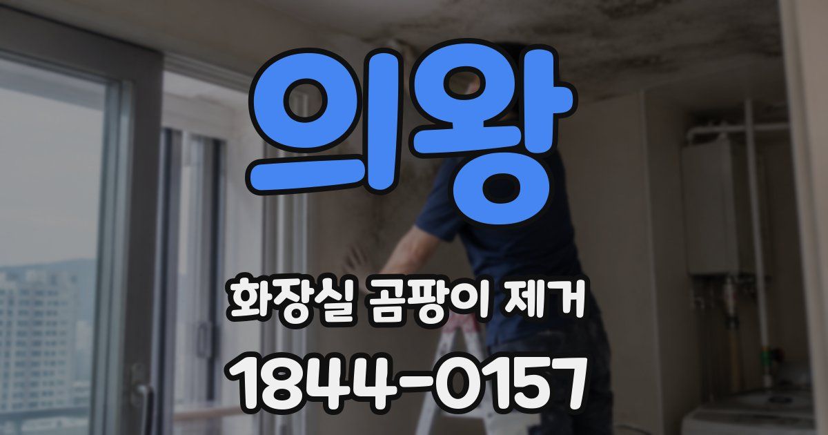 의왕 화장실 곰팡이 제거