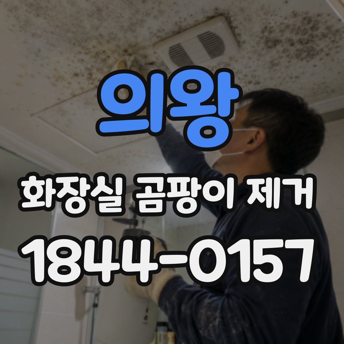 의왕 화장실 곰팡이 제거