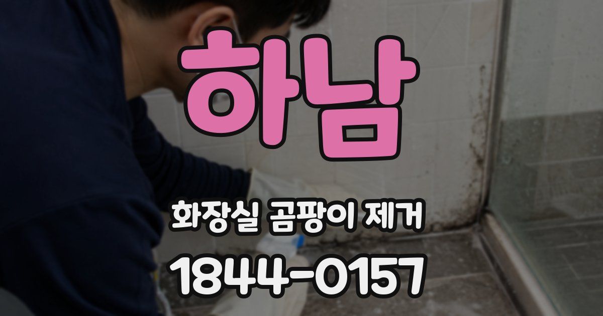 하남 화장실 곰팡이 제거