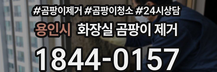 용인시 화장실 곰팡이 제거