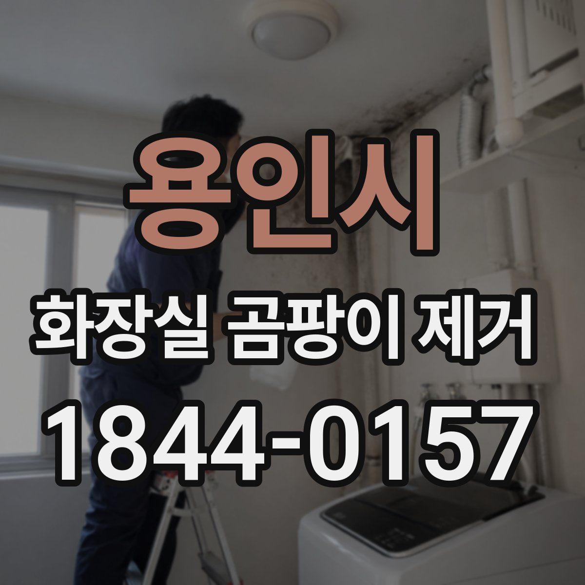 용인시 화장실 곰팡이 제거