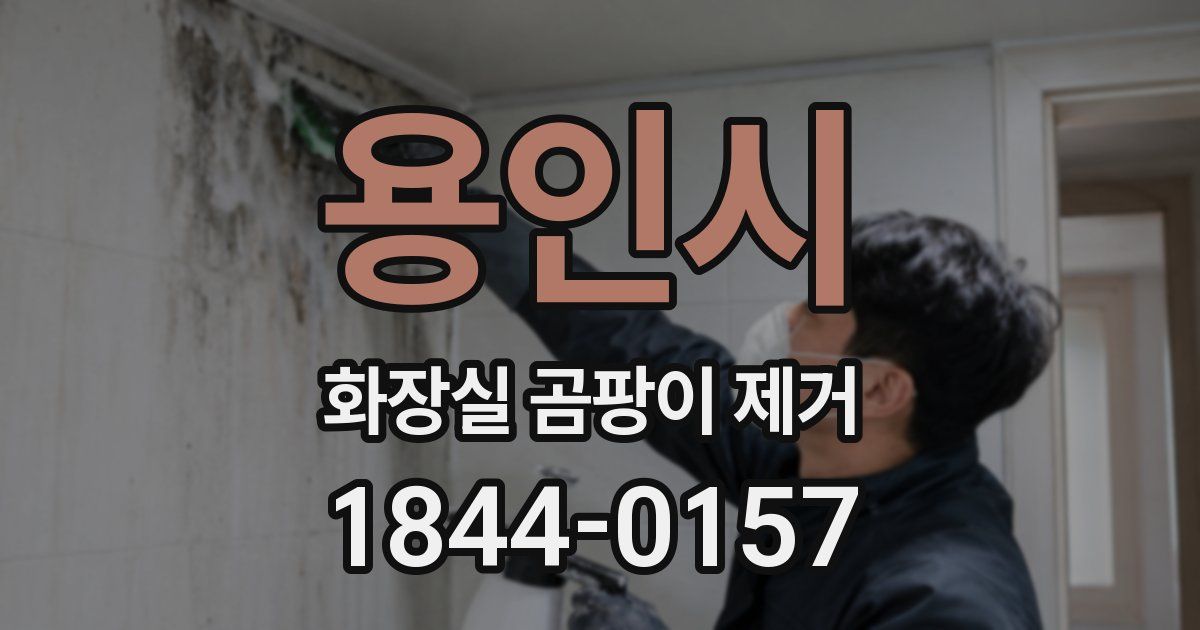 용인시 화장실 곰팡이 제거