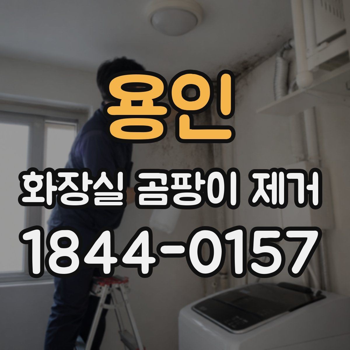 용인 화장실 곰팡이 제거 습기 원인부터 확인하는 점검 순서