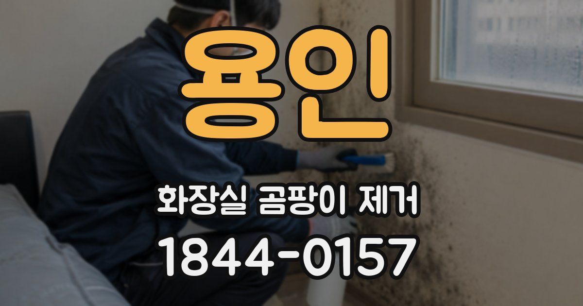용인 화장실 곰팡이 제거