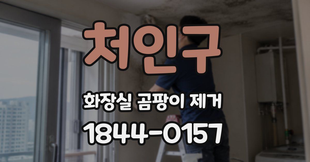 처인구 화장실 곰팡이 제거