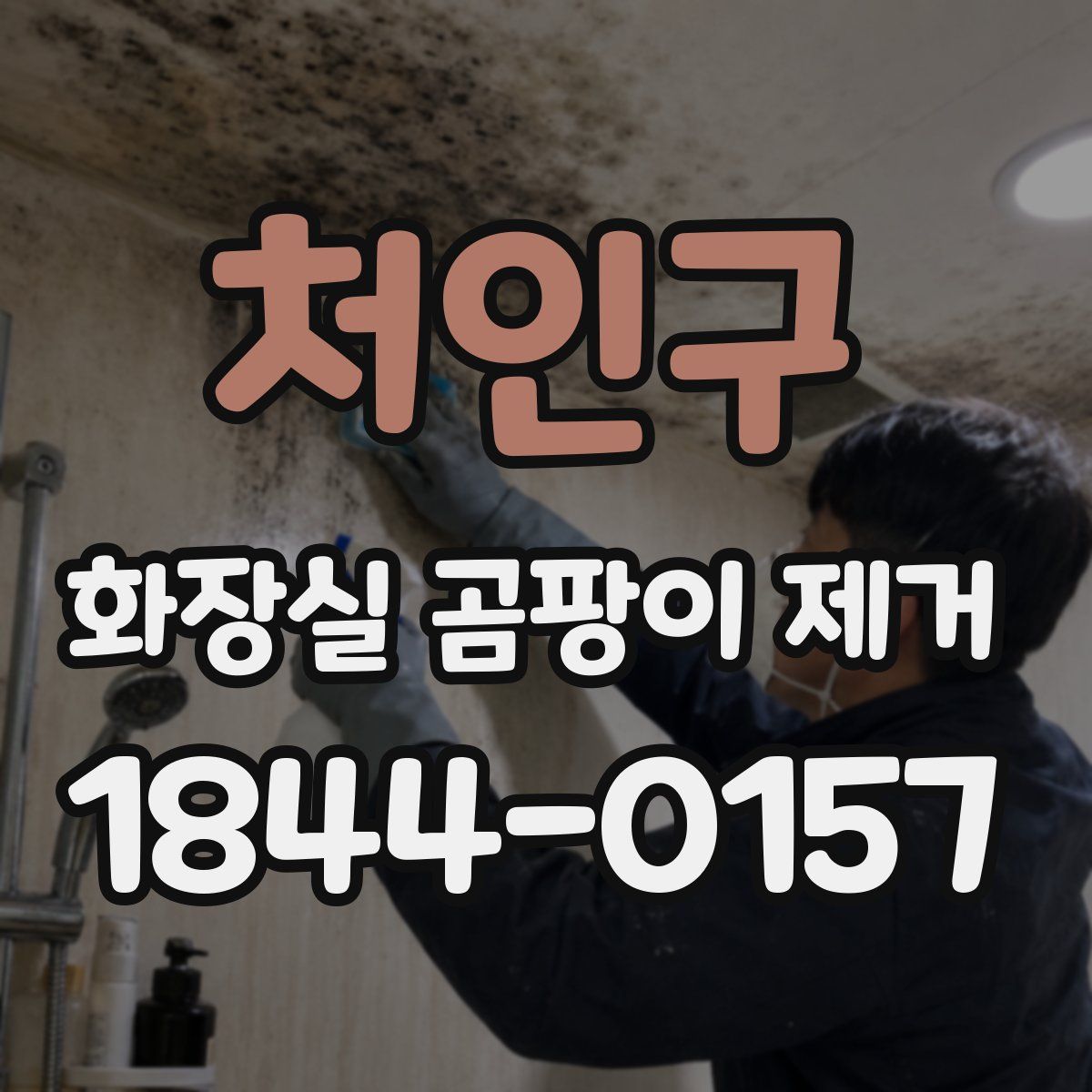 처인구 화장실 곰팡이 제거