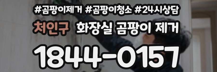 처인구 화장실 곰팡이 제거