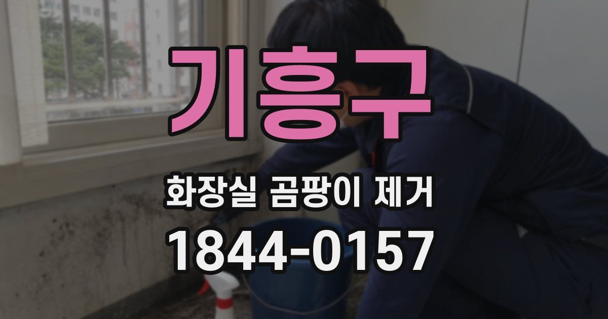 기흥구 화장실 곰팡이 제거