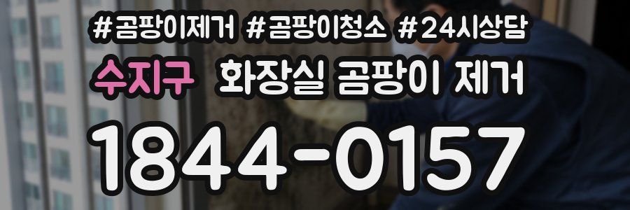 수지구 화장실 곰팡이 제거