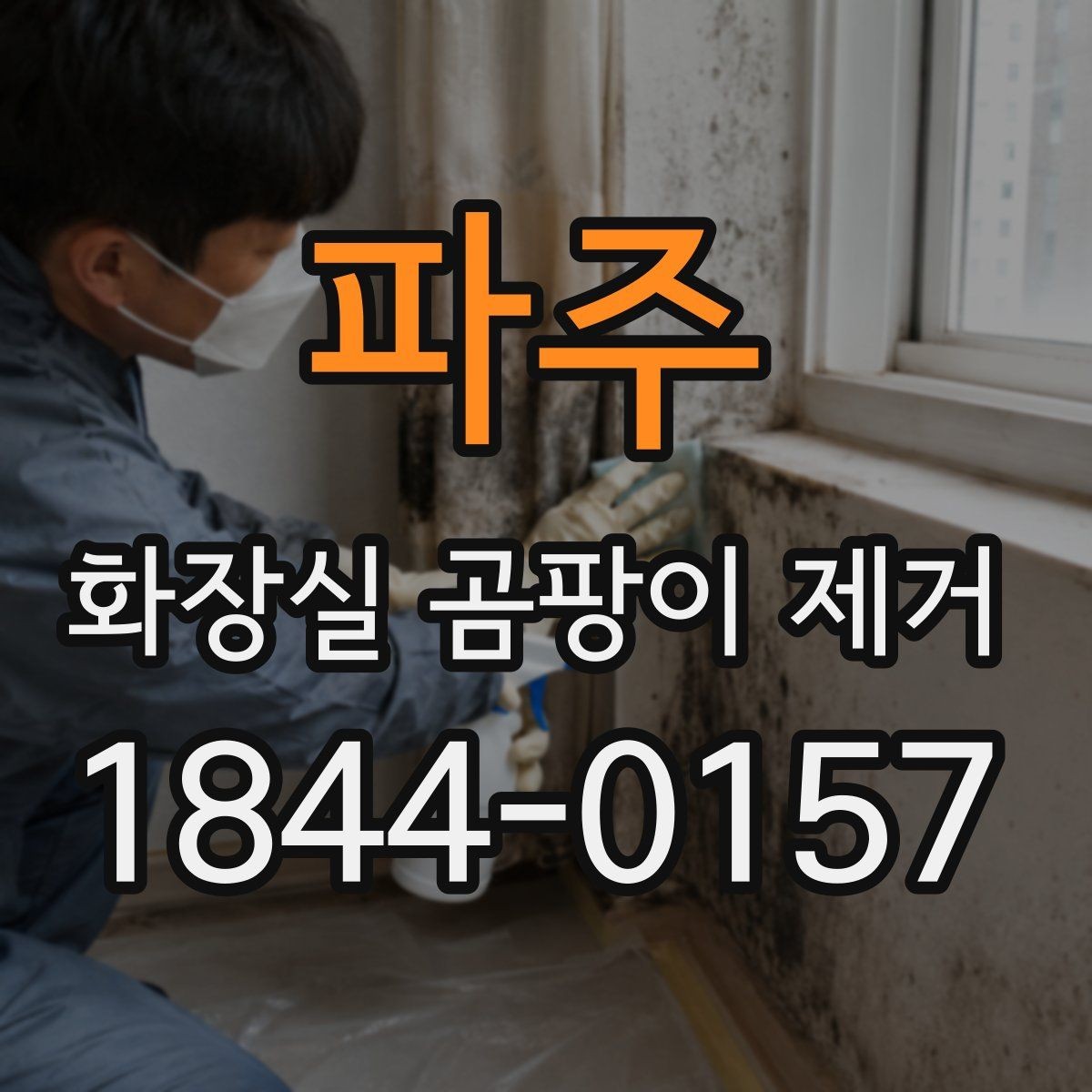 파주 화장실 곰팡이 제거 욕실 실리콘 들뜸이 보일 때 확인할 것