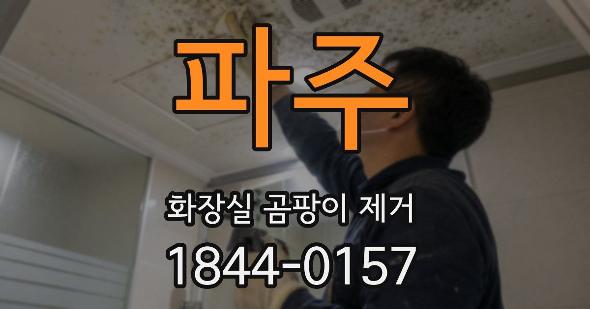 파주 화장실 곰팡이 제거
