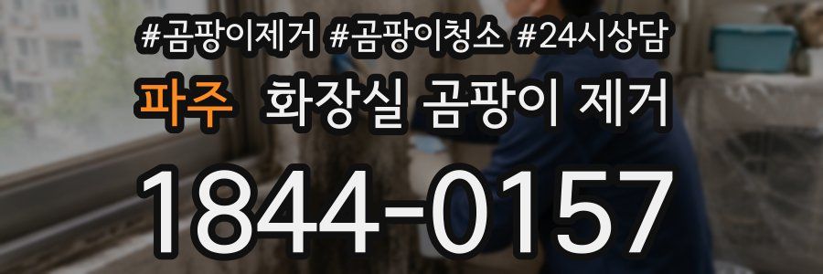 파주 화장실 곰팡이 제거