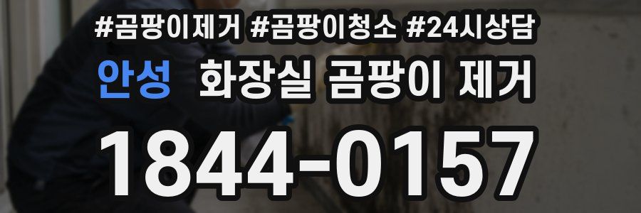 안성 화장실 곰팡이 제거