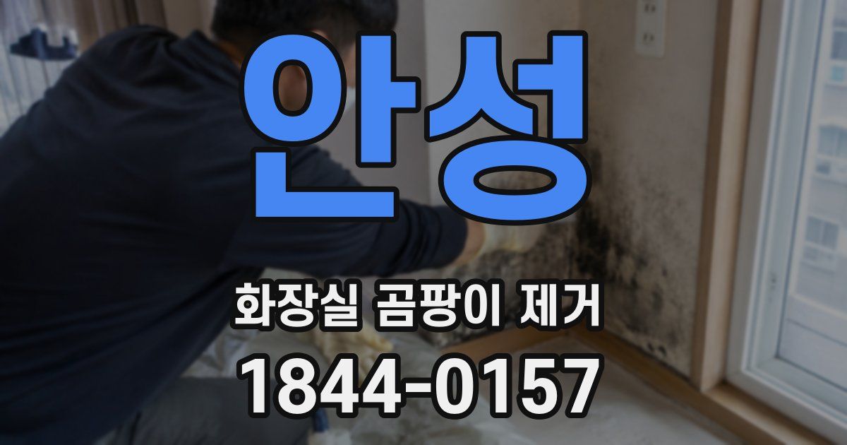 안성 화장실 곰팡이 제거