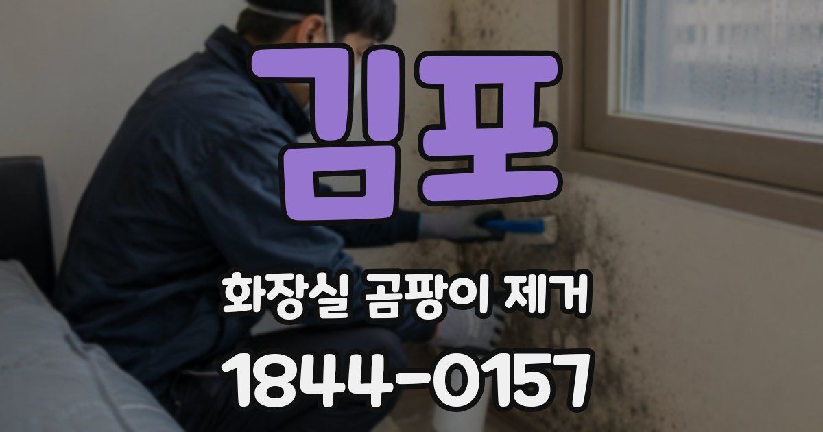 김포 화장실 곰팡이 제거