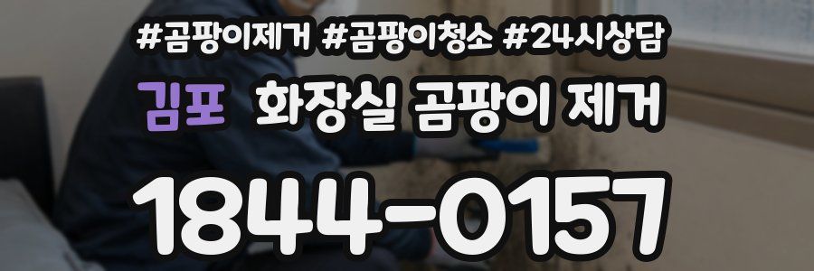 김포 화장실 곰팡이 제거