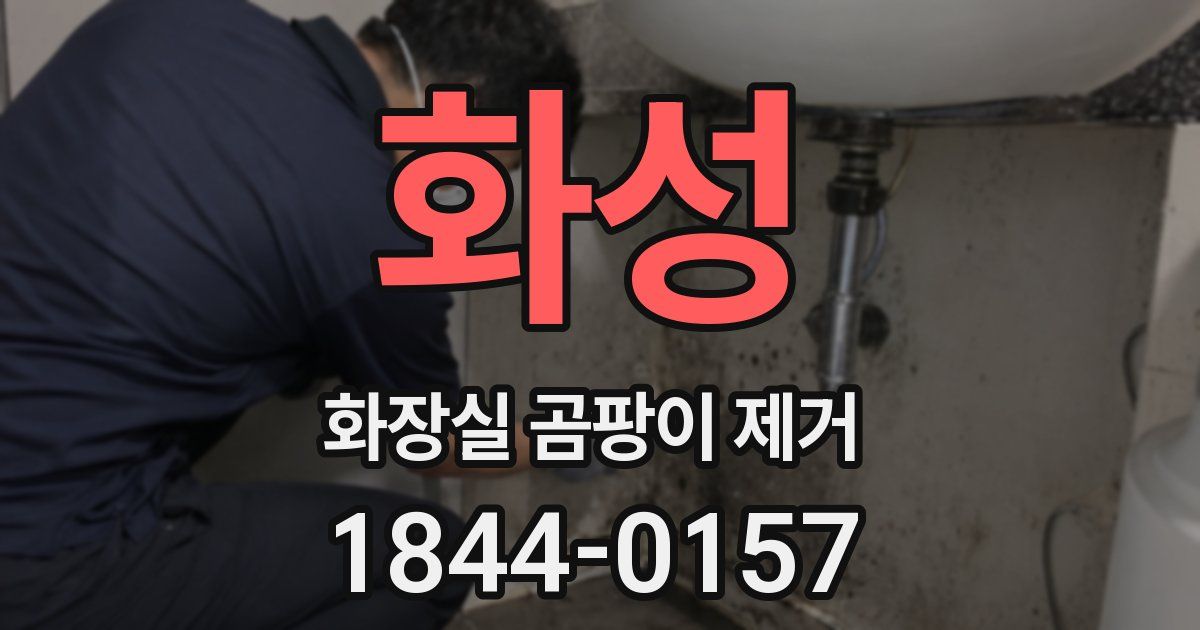 화성 화장실 곰팡이 제거