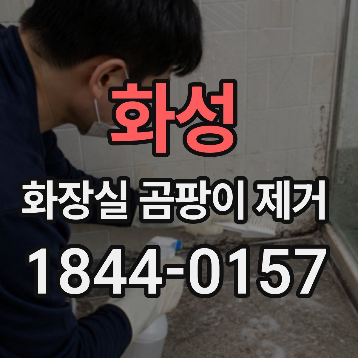 화성 화장실 곰팡이 제거