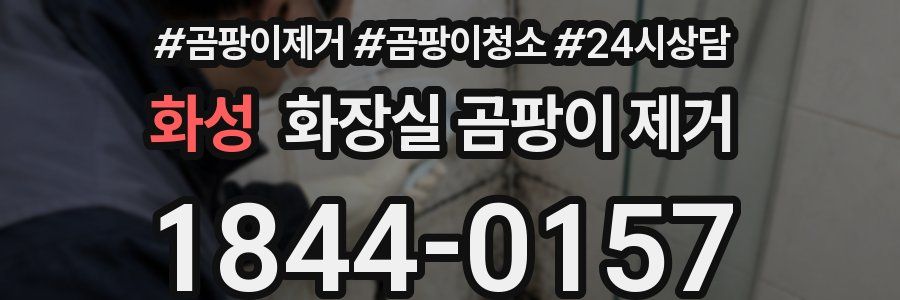 화성 화장실 곰팡이 제거