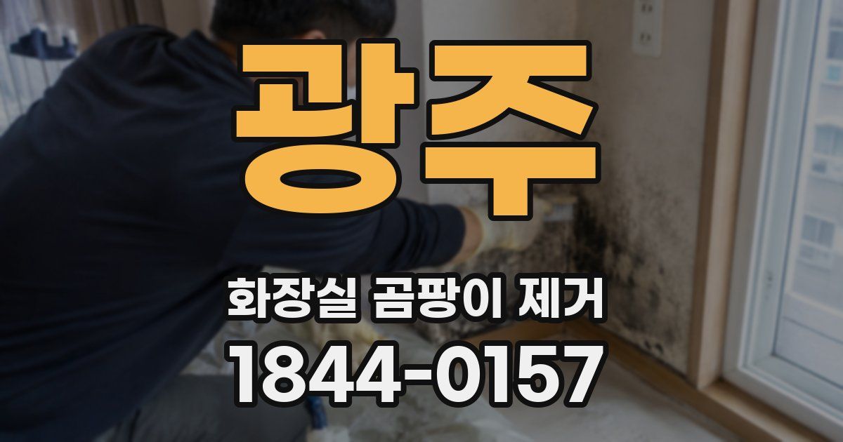 광주 화장실 곰팡이 제거