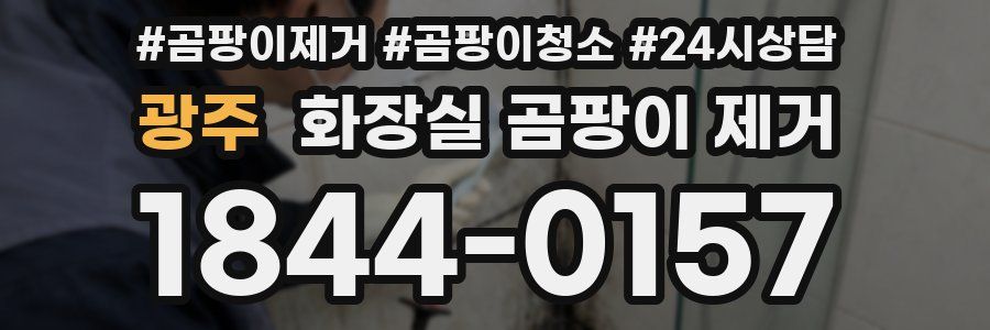 광주 화장실 곰팡이 제거